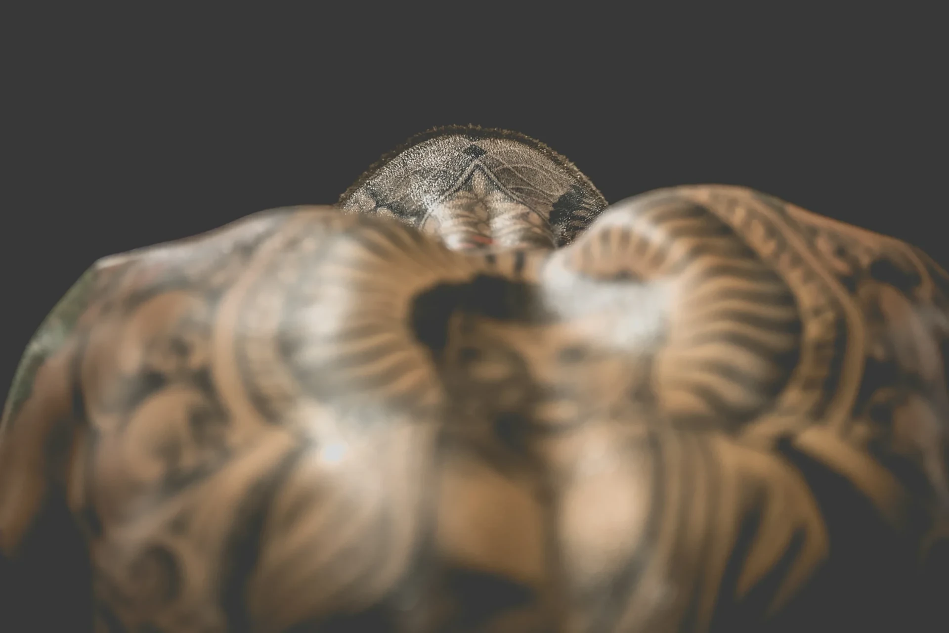 Wouter Roosenboom